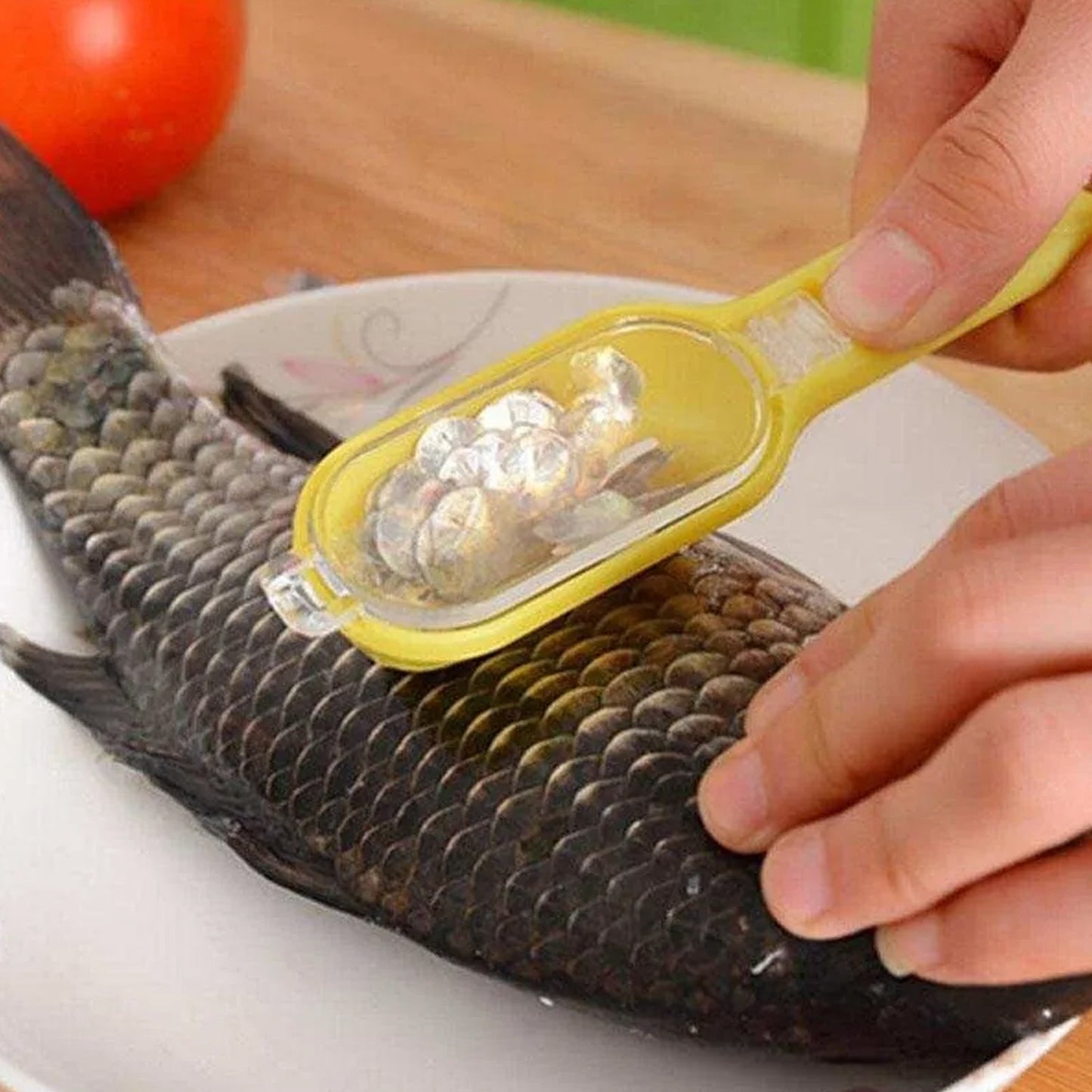 Fish Scale Scraper 1Pc 11Express The Digital Kitchen Store