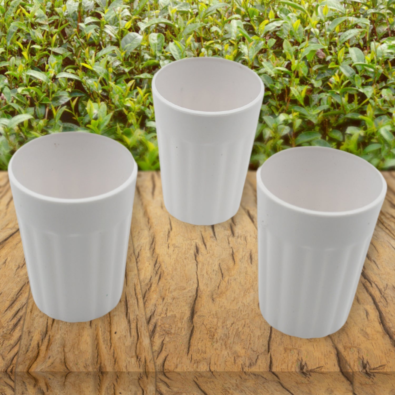 Pla Small Tea Cup 3Pc D45 11Express The Digital Kitchen Store